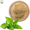 Herbal Pharm Organik Lemon Balm Ekstrak Kapsul